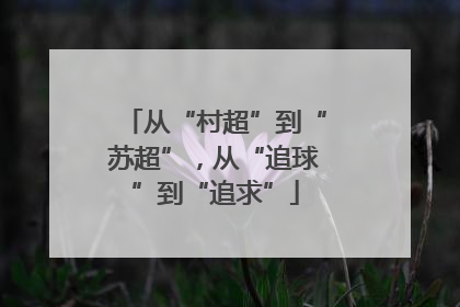 从“村超”到“苏超”，从“追球”到“追求”