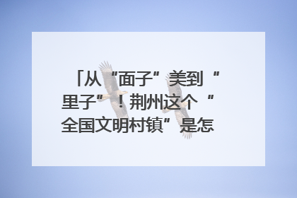 从“面子”美到“里子”！荆州这个“全国文明村镇”是怎样炼成的？