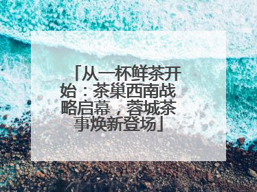 从一杯鲜茶开始：茶巢西南战略启幕，蓉城茶事焕新登场