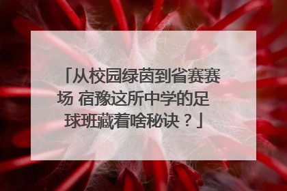 从校园绿茵到省赛赛场 宿豫这所中学的足球班藏着啥秘诀？