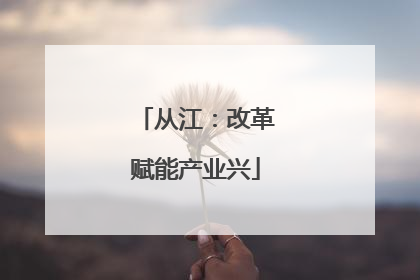 从江：改革赋能产业兴