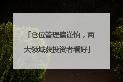 仓位管理偏谨慎，两大领域获投资者看好