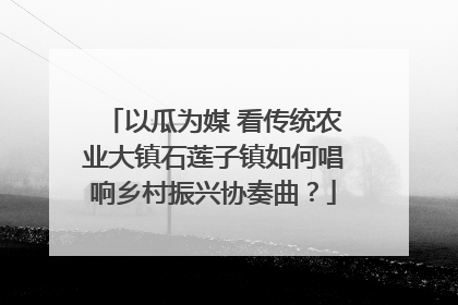 以瓜为媒 看传统农业大镇石莲子镇如何唱响乡村振兴协奏曲？