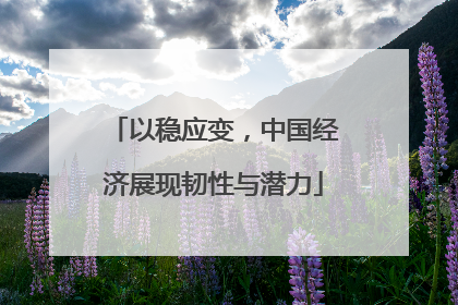 以稳应变，中国经济展现韧性与潜力