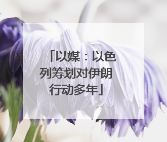 以媒：以色列筹划对伊朗行动多年