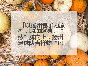 以扬州包子为原型，圆润饱满，“蒸”腾向上，扬州足球队吉祥物“包赢”亮相即售罄