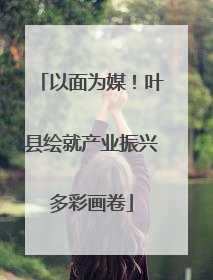 以面为媒！叶县绘就产业振兴多彩画卷
