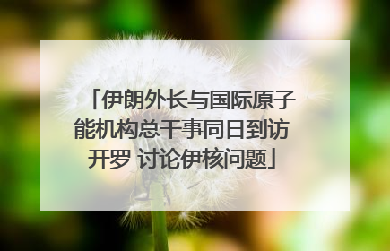 伊朗外长与国际原子能机构总干事同日到访开罗 讨论伊核问题