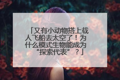 又有小动物搭上载人飞船去太空了！为什么模式生物能成为“探索代表”？
