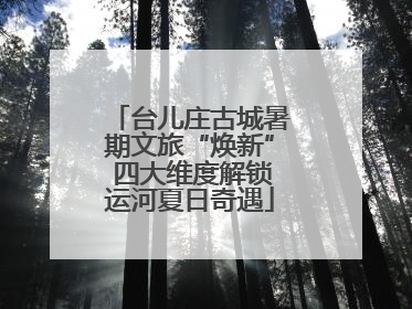 台儿庄古城暑期文旅“焕新” 四大维度解锁运河夏日奇遇