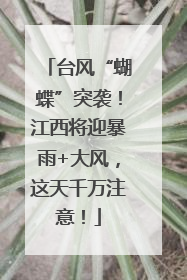 台风“蝴蝶”突袭！江西将迎暴雨+大风，这天千万注意！