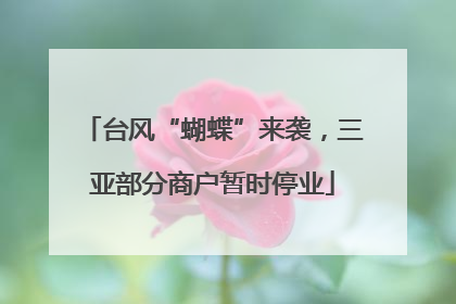 台风“蝴蝶”来袭，三亚部分商户暂时停业