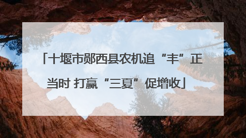 十堰市郧西县农机追“丰”正当时 打赢“三夏”促增收