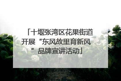 十堰张湾区花果街道开展“东风故里育新风”品牌宣讲活动