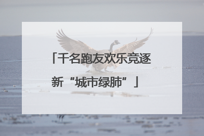 千名跑友欢乐竞逐新“城市绿肺”
