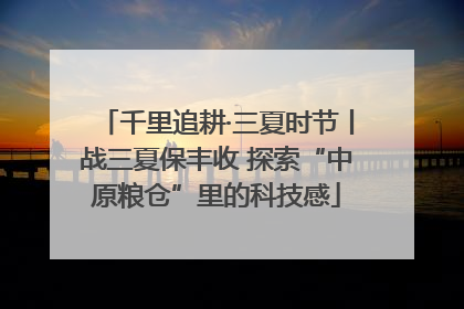 千里追耕·三夏时节丨战三夏保丰收 探索“中原粮仓”里的科技感