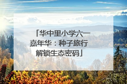 华中里小学六一嘉年华：种子旅行解锁生态密码
