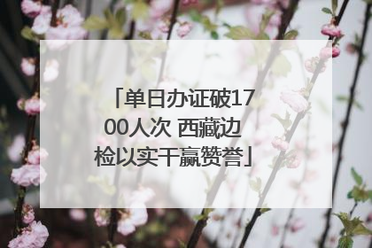 单日办证破1700人次 西藏边检以实干赢赞誉