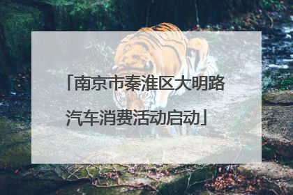 南京市秦淮区大明路汽车消费活动启动