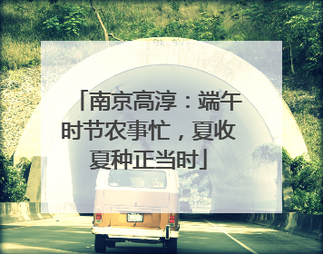 南京高淳：端午时节农事忙，夏收夏种正当时