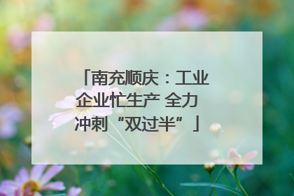 南充顺庆：工业企业忙生产 全力冲刺“双过半”