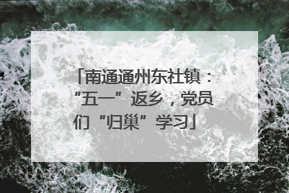 南通通州东社镇：“五一”返乡，党员们“归巢”学习