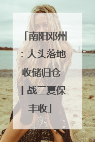 南阳邓州：大头落地 收储归仓丨战三夏保丰收