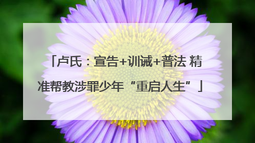 卢氏：宣告+训诫+普法 精准帮教涉罪少年“重启人生”