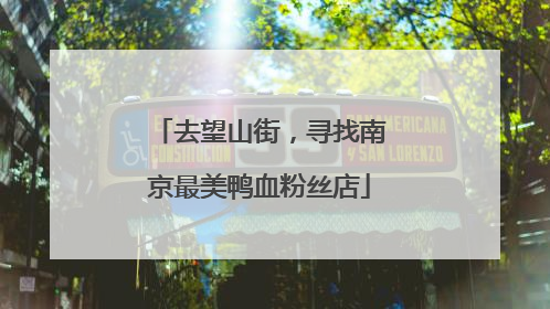去望山街，寻找南京最美鸭血粉丝店