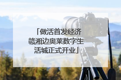 做活首发经济 赣湘边奥莱数字生活城正式开业