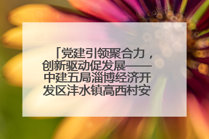 党建引领聚合力，创新驱动促发展——中建五局淄博经济开发区沣水镇高西村安置项目建设纪实