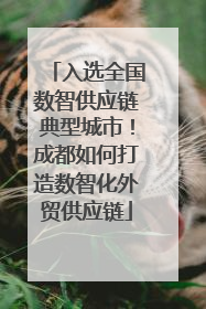 入选全国数智供应链典型城市！成都如何打造数智化外贸供应链