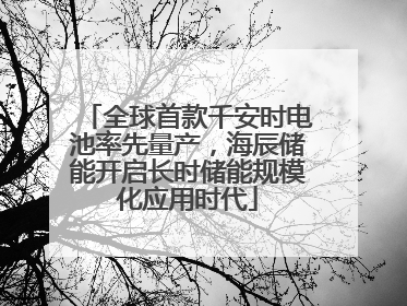 全球首款千安时电池率先量产，海辰储能开启长时储能规模化应用时代