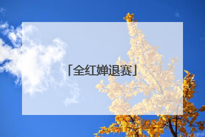 全红婵退赛