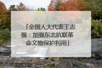全国人大代表王志强：加强东北抗联革命文物保护利用