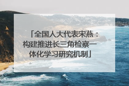 全国人大代表宋燕：构建推进长三角检察一体化学习研究机制