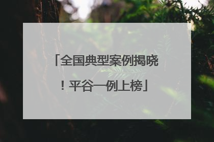 全国典型案例揭晓！平谷一例上榜