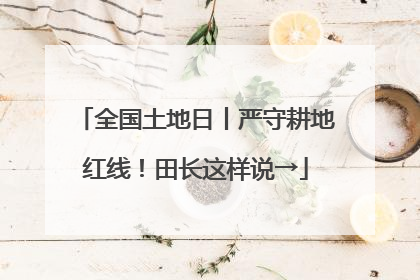 全国土地日丨严守耕地红线！田长这样说→