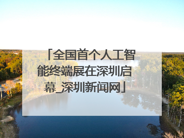 全国首个人工智能终端展在深圳启幕_深圳新闻网