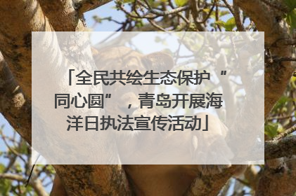 全民共绘生态保护“同心圆”，青岛开展海洋日执法宣传活动