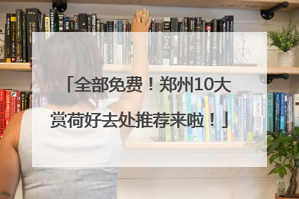 全部免费！郑州10大赏荷好去处推荐来啦！