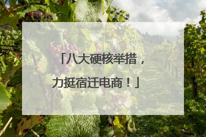 八大硬核举措，力挺宿迁电商！