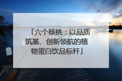 六个核桃：以品质筑基、创新领航的植物蛋白饮品标杆