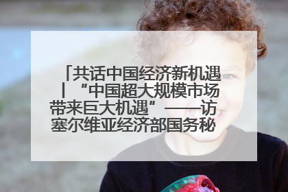 共话中国经济新机遇丨“中国超大规模市场带来巨大机遇”——访塞尔维亚经济部国务秘书尼科利奇