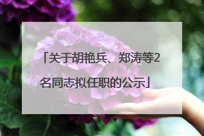 关于胡艳兵、郑涛等2名同志拟任职的公示