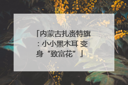 内蒙古扎赉特旗：小小黑木耳 变身“致富花”