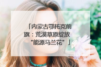 内蒙古鄂托克前旗：荒漠草原绽放“能源马兰花”