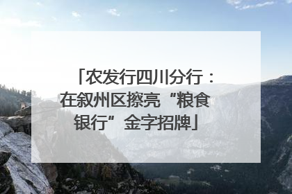农发行四川分行：在叙州区擦亮“粮食银行”金字招牌