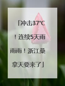 冲击37℃！连续5天雨雨雨！浙江桑拿天要来了