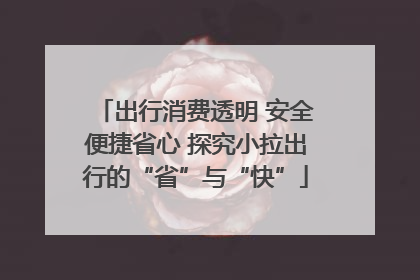出行消费透明 安全便捷省心 探究小拉出行的“省”与“快”